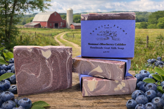 Momma's Blueberry Cobbler